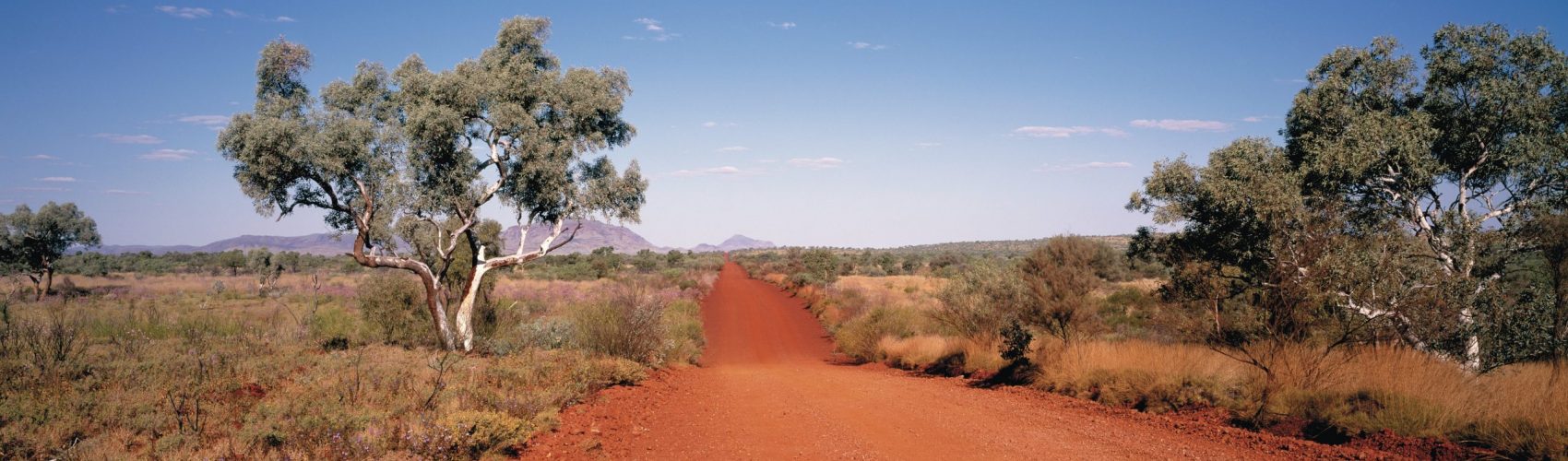 Pilbara, Mount Bruce in distance
